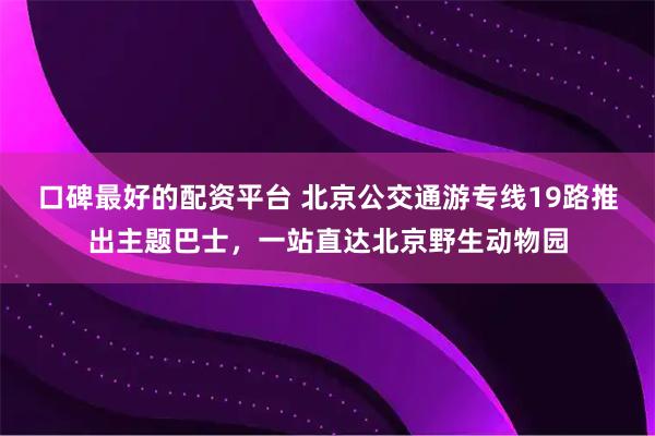 口碑最好的配资平台 北京公交通游专线19路推出主题巴士，一站直达北京野生动物园