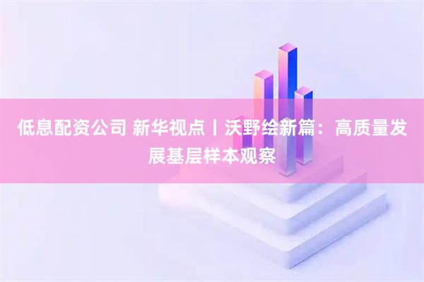 低息配资公司 新华视点丨沃野绘新篇：高质量发展基层样本观察